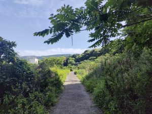 散歩道